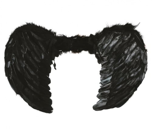 BLACK FEATHER WINGS, 50 CM (16266)