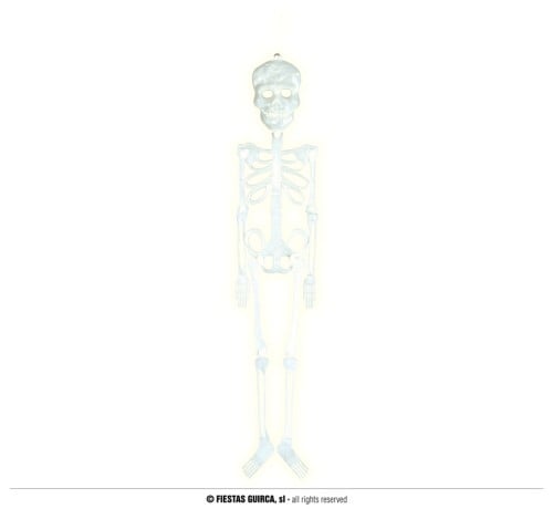 FLUORESCENT SKELETON 75 CM (19866)