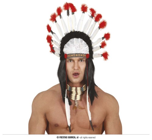 INDIAN FEATHERS PLUME (13091)