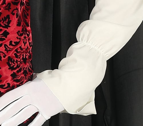 VAMPIRE, ADULT, 48 - 50 (79482)