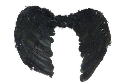 BLACK FEATHER WINGS, 50 CM (16266)
