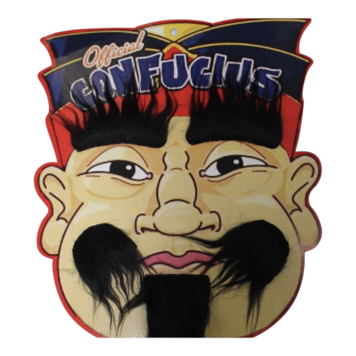Mustache and fake beard 2
