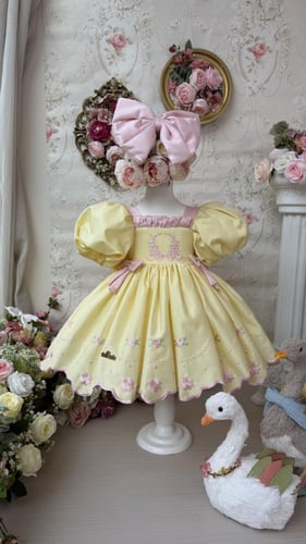 فستان باسكن روبنز+فيونكة الشعر وجيبون منفوش إضافية