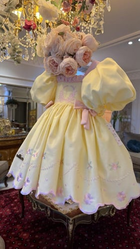 فستان باسكن روبنز+فيونكة الشعر وجيبون منفوش إضافية