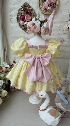 فستان باسكن روبنز+فيونكة الشعر وجيبون منفوش إضافية