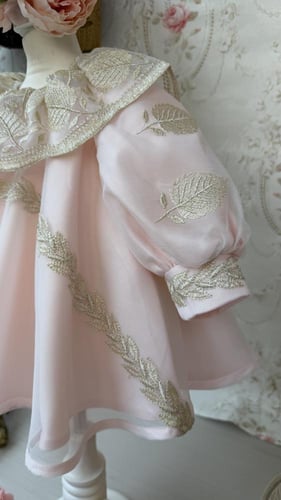 فستان وردتي الصغيرة