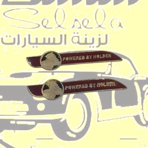علامه قطعتين ذهبي