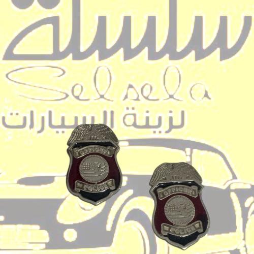 علامه قطعتين