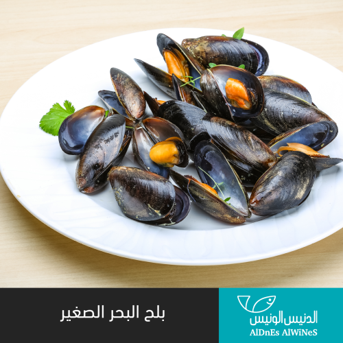 500 جرام بلح البحر الصغير