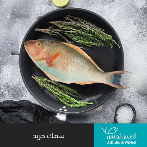 1 كيلو سمك الحريد