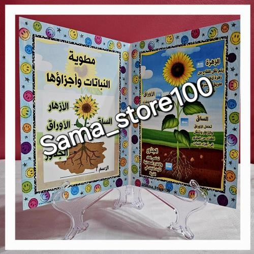 مطوية أجزاء النبات علوم pdf ابتدائي الفصل الدراسي...