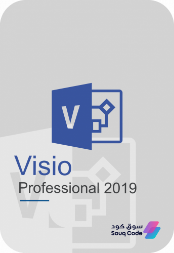 فيزو برو 2019 | Visio Pro 2019