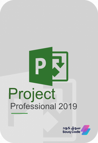 بروجكت برو 2019 | Project Pro 2019