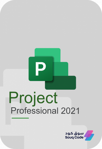 بروجكت برو 2021 | Project Pro 2021