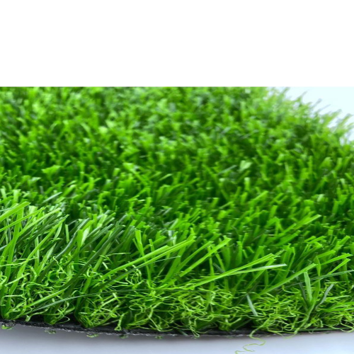 عشب أخضر أرضي