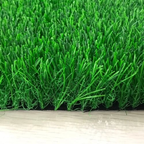 عشب أخضر أرضي