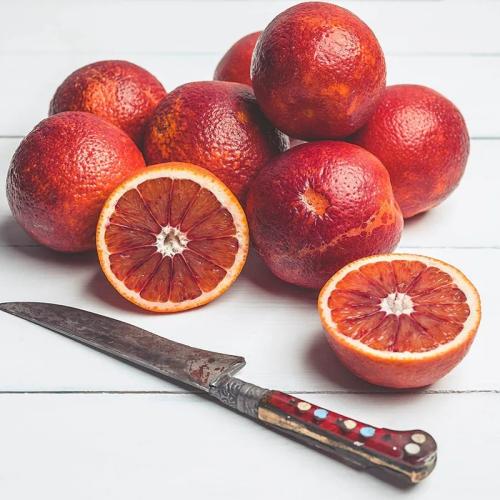 شتلات برتقال تراكو احمر من الداخل والخارج عمر 18شه...