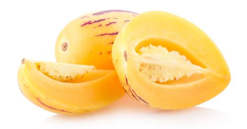 شتلات الببينو