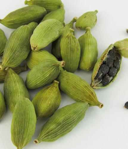 شتلات هيل مستورد تايلند حوالي 60-80سم