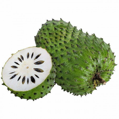 شتلات جرافيولا القشطة الشائكة القشطه العملاقة 30_5...