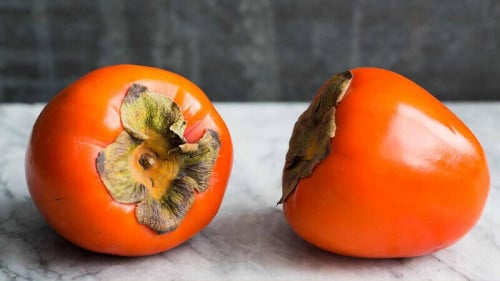 الكاكا البرسيمون متر الى متر ونصف