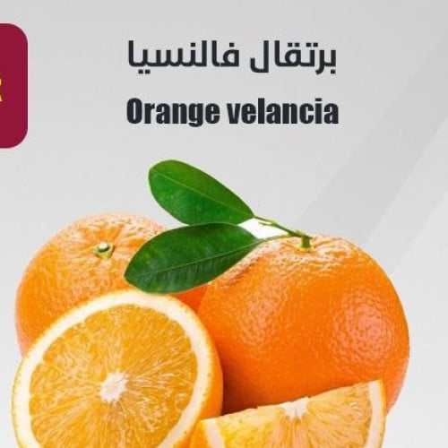 برتقال فالنسيا البرتقال الصيفي عمر3سنوات شتلات كبي...