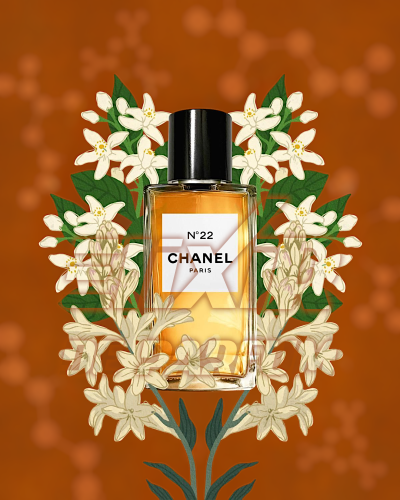 بديل نمبر 22 أو دو بارفام شانيل N 22 Eau de Parfum...