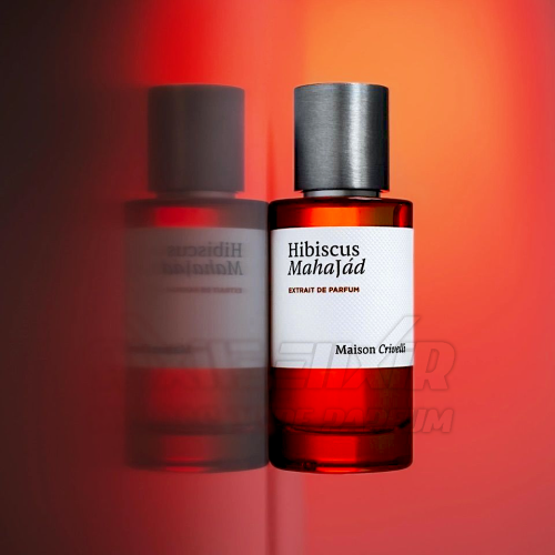 بديل هيبسكس مهاجاد ميزون كريفيللي Hibiscus Mahajád...