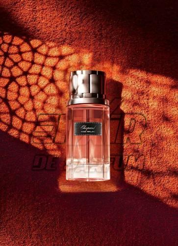بديل شوبارد روز ملكي Chopard Rose Malaki Alternati...