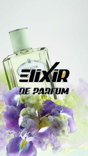 بديل عطر إنفيوجن دي آيريس برادا Infusion d'Iris Pr...
