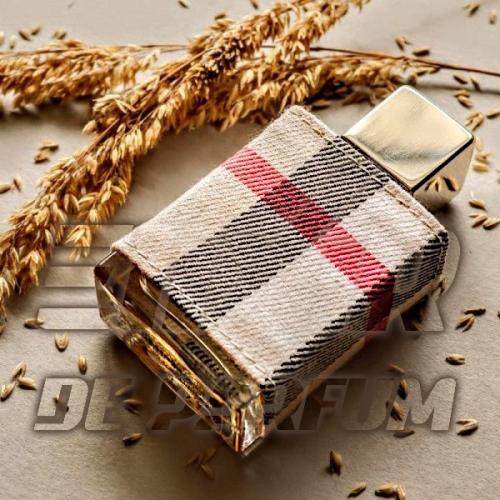 بديل لندن بربري London Burberry Alternative