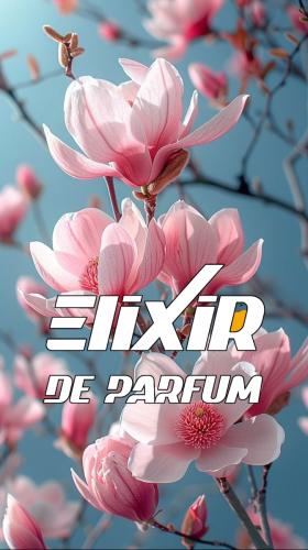 فواحة زهور الربيع الياباني Japanese Spring Blossom...