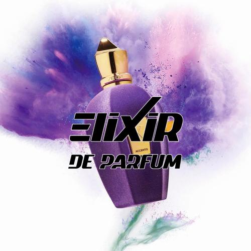بديل عطر أكسنتو زيرجوف Accento Xerjoff (ALTERNATIV...