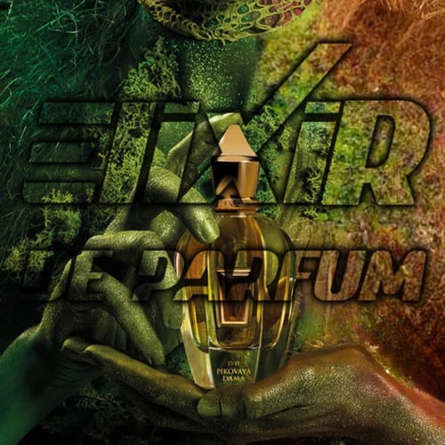 بديل بيكوفايا داما زيرجوف Pikovaya Dama 2018 Xerjo...