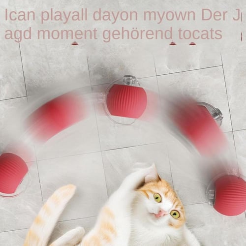 كرة للقطط متحركة اشكال مختلفة