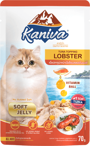 كانيفا تونه مع لوبستر طعام رطب للقطط الصغيره والكب...