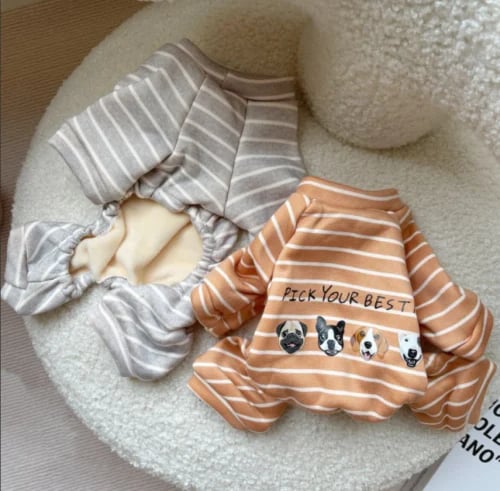 Clothes for cats and Boubou