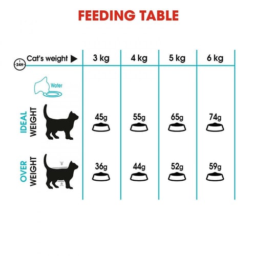 رويال كانين يور نيري400جرام