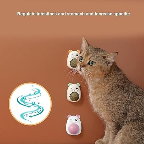 كورة كاتنيب للقطط-الوان مختلفة