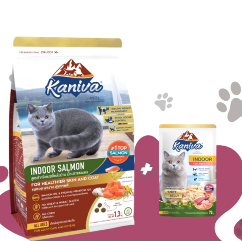 اكل جاف كانيفا اندور سلمون 1.3 كيلو + ظرف اكل رطب...