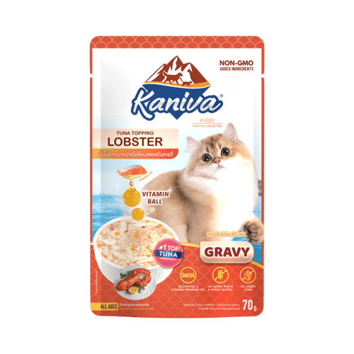 كانيفا تونه مع لوبستر طعام رطب للقطط الصغيره والكب...