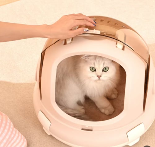 حامل وبوكس قطط​ للتنقل سبيس شيب من كول بيبي