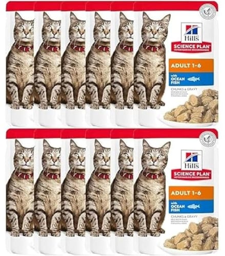 كارتون هيلز اكل قطط رطب بسمك المحيط للقطط البالغة...