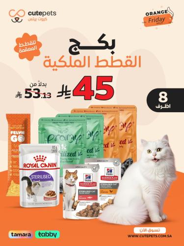 بكدج القطط الملكية المعقمة