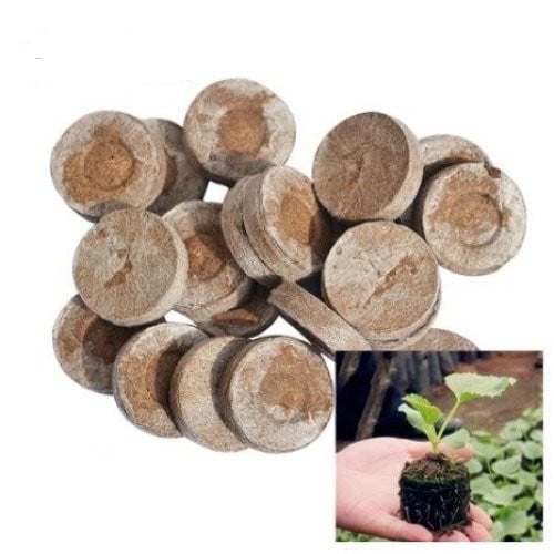 تربة مضغوطة