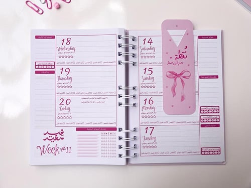 بوكس فيونكة -I'm just a girl -AGENDA54