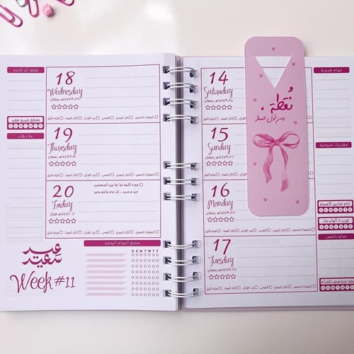 بوكس فيونكة -I'm just a girl -AGENDA54