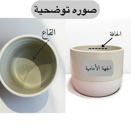 كوب تحملين قلبا بلطف الفراشة