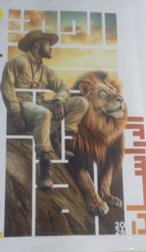 الأضواء دراسات أولى إعدادي ترم ثاني ٢٠٢٦