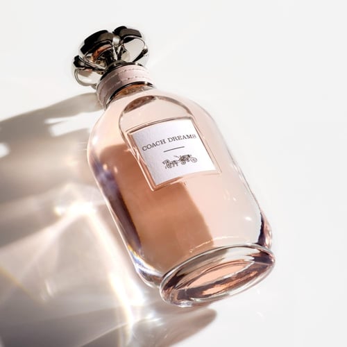 عطر كوتش دريمز او دي بارفان